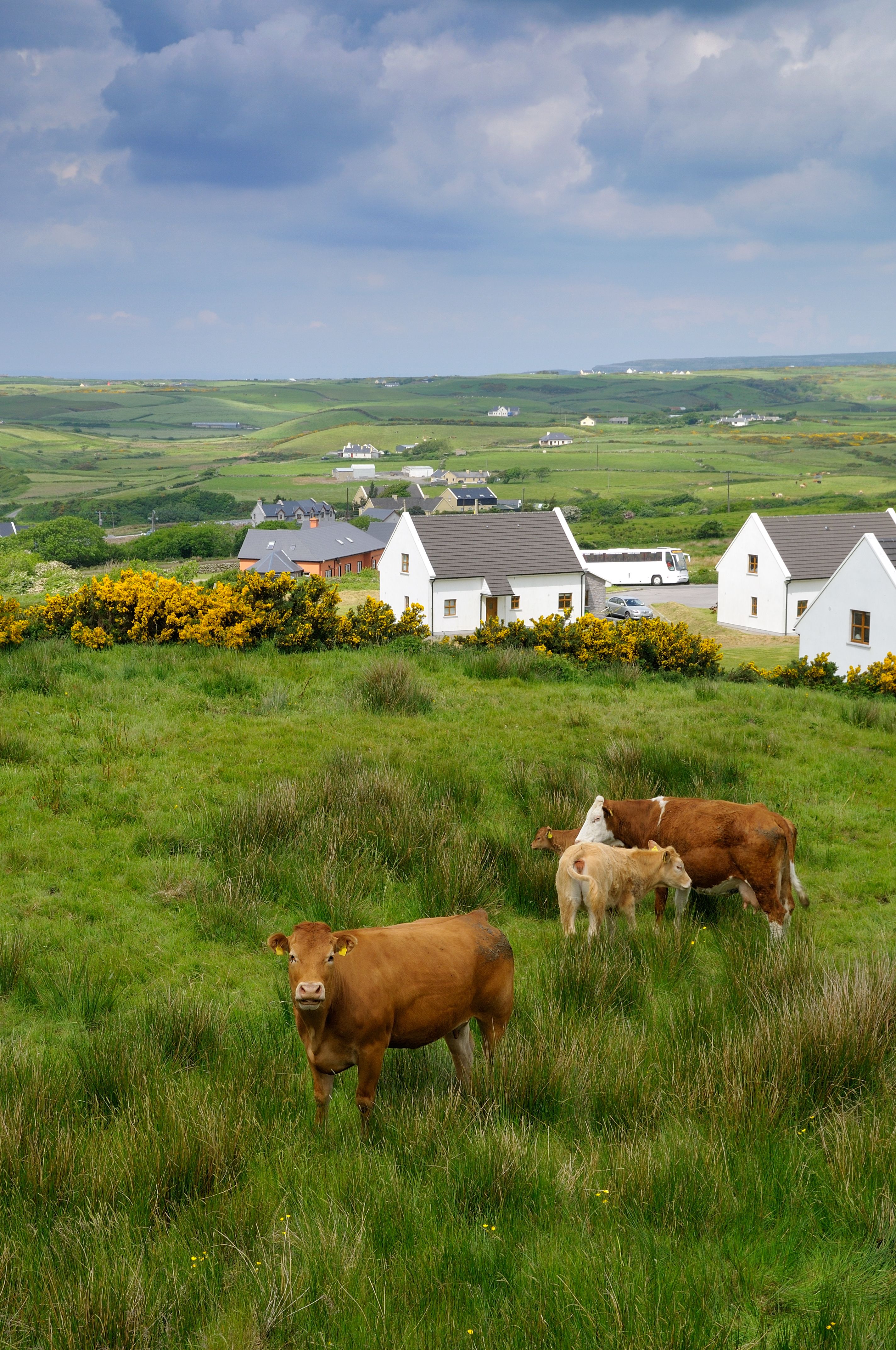 Location de voiture à Limerick