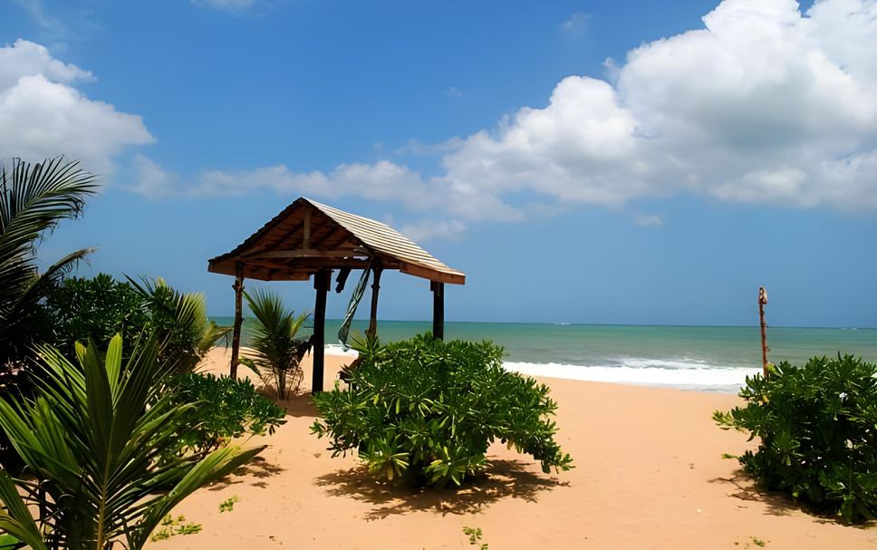 Beach Photo
