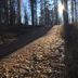 Outdoors view
