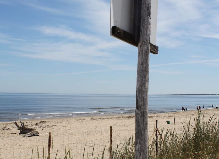 Beach Photo