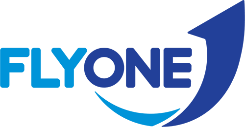 FlyOne